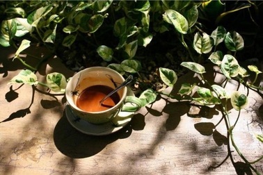 Hẹn hò cùng góc "xanh" - giới trẻ chia sẻ khoảnh khắc nâng niu thiên nhiên