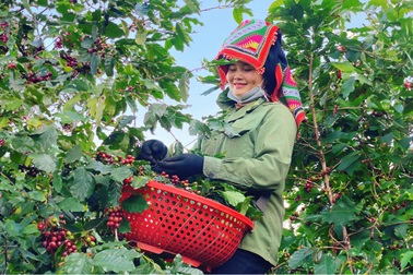 IIX hỗ trợ huy động 500.000 USD cho doanh nghiệp tạo tác động xã hội tại Việt Nam