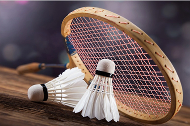 Số phận "luận án tiến sĩ cầu lông" sẽ ra sao sau khi Bộ GD&ĐT thẩm định?