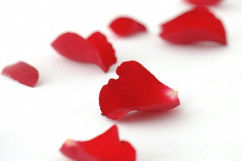 Sinh nhật tôi, ngày giỗ của anh 