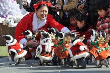 Miền Bắc rét đậm, TPHCM “hứng” triều cường lớn dịp Giáng sinh