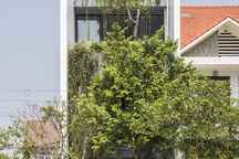 Vợ chồng trẻ ở Huế làm “vườn đặt trong nhà” khiến mùa hè vẫn mát rượi