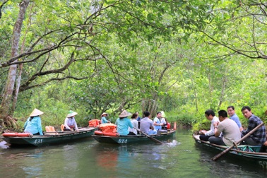 Tận mắt rừng vối cổ thụ hàng nghìn cây giữa vùng lõi di sản Tràng An