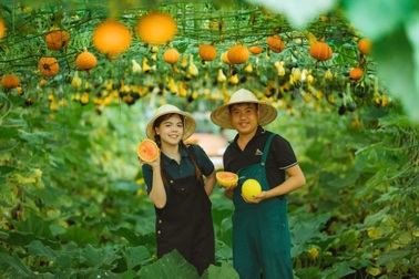 Từ 2 người xa lạ đến trang trại thu hơn nửa tỷ đồng/năm và một đám cưới