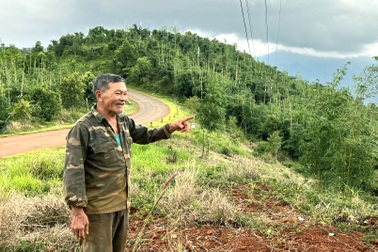 "Hô biến" đất rừng thành đất của... vợ cán bộ