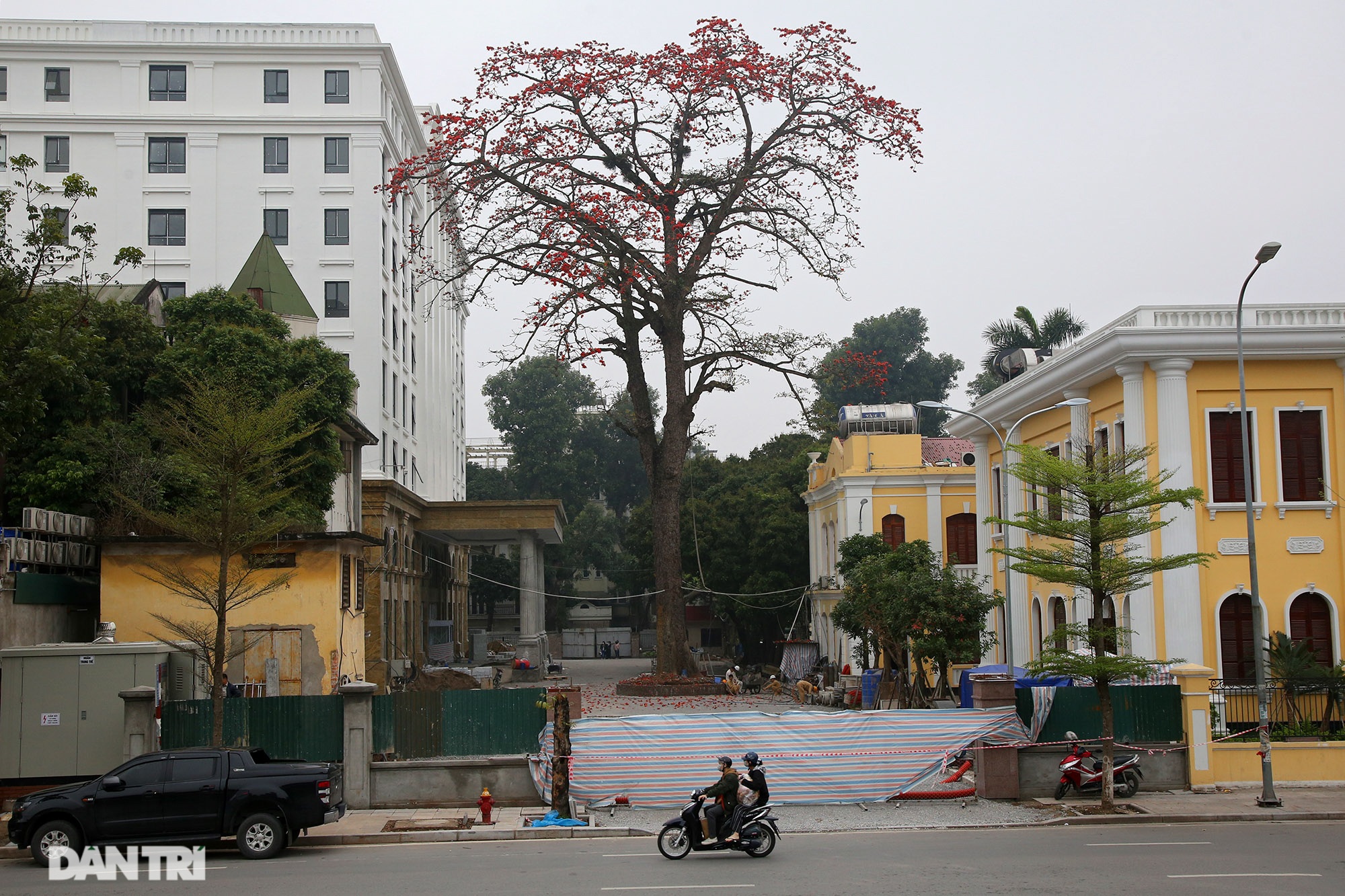 Mùa hoa gạo trong phố - 15 Mùa hoa gạo trong phố - 15