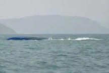 Hai vợ chồng tử nạn trên biển khi đi câu mực