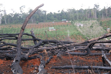 Xử lý công trình trái phép trên đất dự án của vợ nguyên PGĐ công an tỉnh