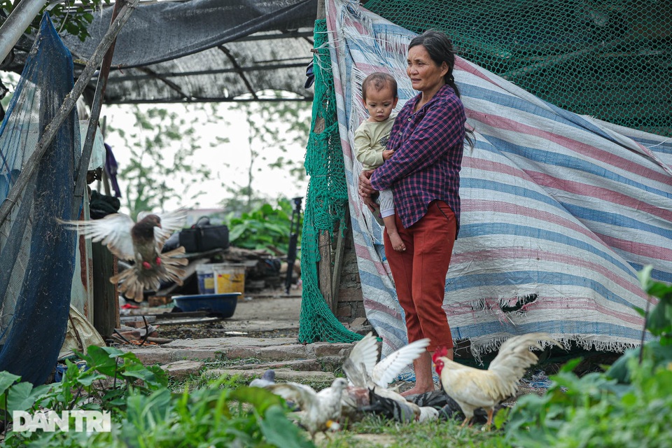 Nỗi đau của bà mẹ 14 con ở Hà Nội: Chồng mất, con đứa bệnh tật, đứa tù tội - 5 Nỗi đau của bà mẹ 14 con ở Hà Nội: Chồng mất, con đứa bệnh tật, đứa tù tội - 5