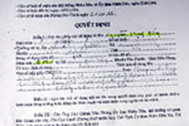 Mới 10 tuổi đã được cấp gần 4 hecta đất!