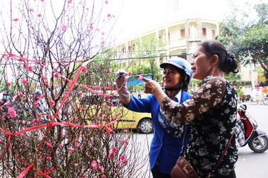 Rộn ràng sắc xuân trên phố biển Nha Trang