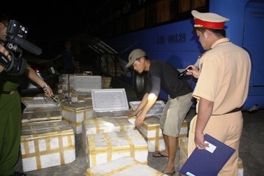 Xe VIP chở hàng tấn nội tạng hôi thối