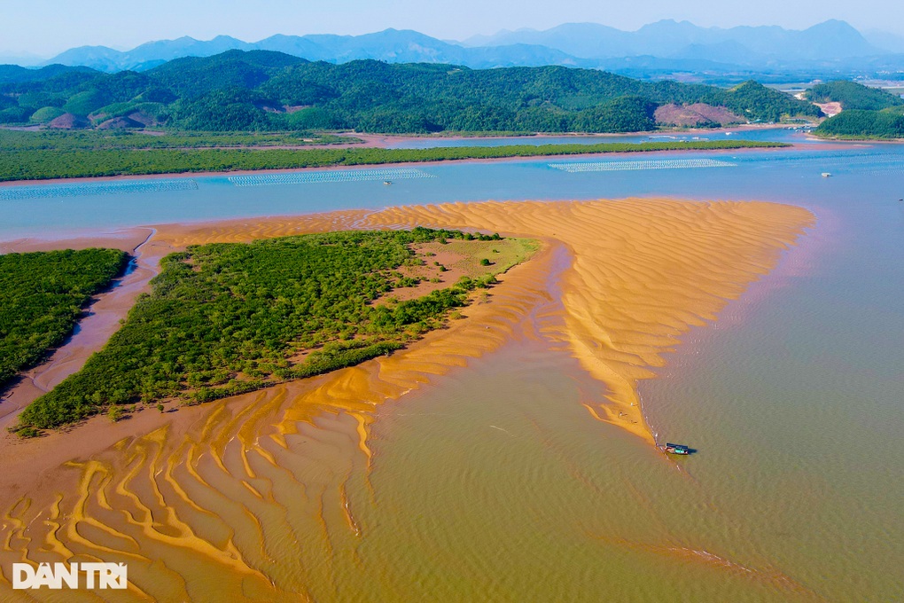 Lướt sóng, chiêm ngưỡng Mũi Lòng Vàng độc đáo giữa biển khơi ở Quảng Ninh - 4 Lướt sóng, chiêm ngưỡng Mũi Lòng Vàng độc đáo giữa biển khơi ở Quảng Ninh - 4