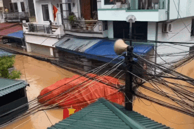 Dùng bạt nhưng không cố định, chủ xe tá hỏa tìm ô tô trôi theo dòng nước lũ