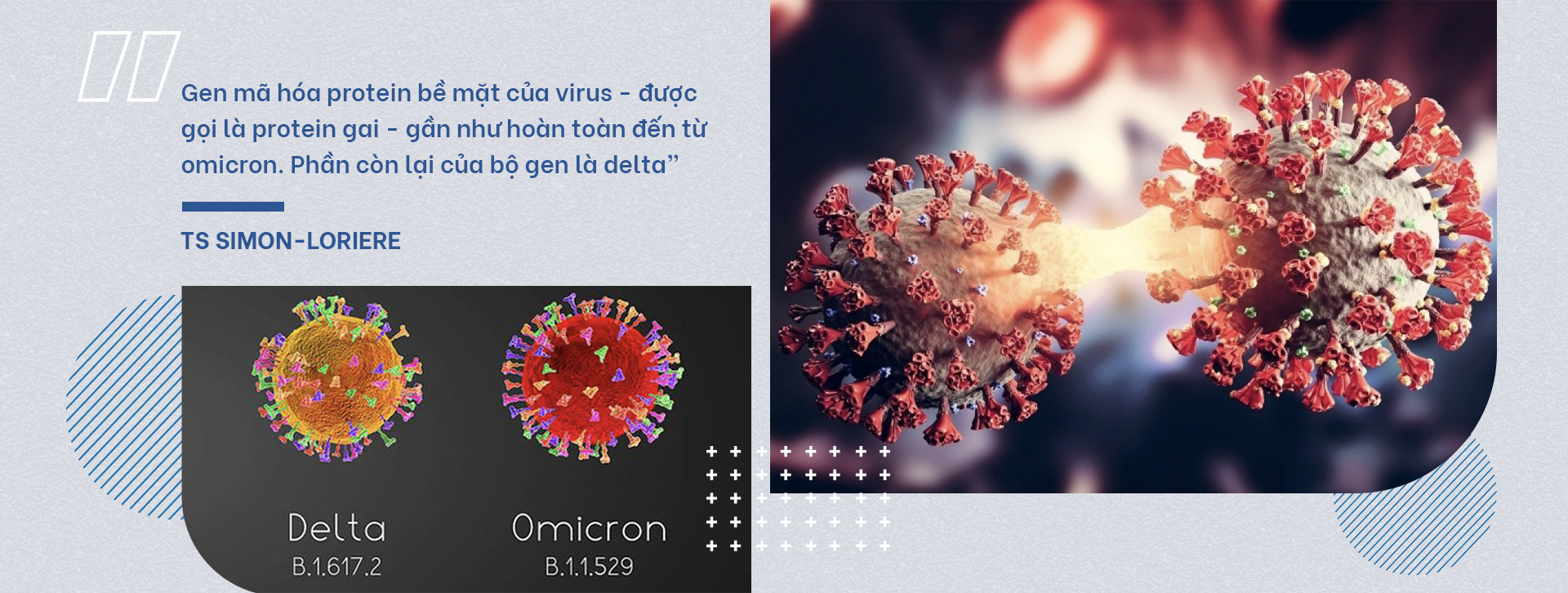 Deltacron: Siêu biến thể hay sự thổi phồng từ cái tên - 11 Deltacron: Siêu biến thể hay sự thổi phồng từ cái tên - 11