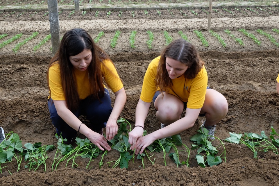 Hải quân Mỹ vẽ tranh, sơn tường trung tâm trẻ bất hạnh ở Đà Nẵng - 2