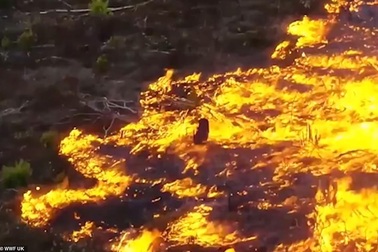 Bức ảnh phản ánh tình trạng hỏa hoạn khủng khiếp tàn phá "lá phổi xanh" Amazon