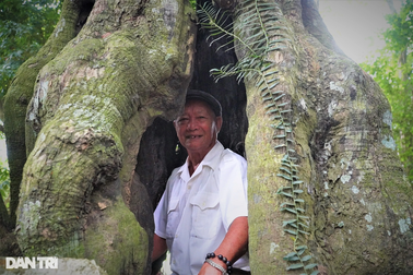 "Cụ thị" hơn 400 năm tuổi rỗng ruột, người lớn chui vừa