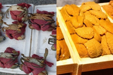 Cua biển siêu rẻ không ai dám mua; trứng “nhân sâm biển” Nhật, đại gia chi không tiếc tiền