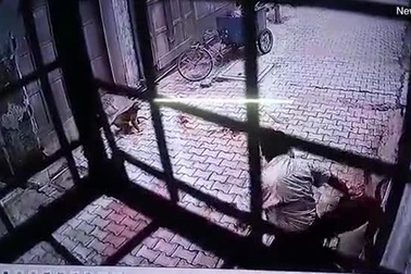 Người đàn ông bị bầy khỉ tấn công khi đi vào con hẻm