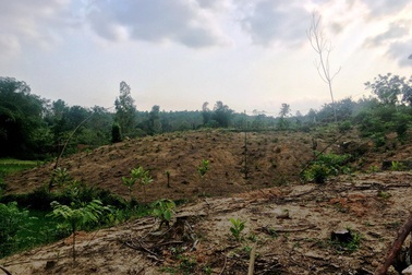 Dự án bò sữa nghìn tỷ: Dân “nhấp nhổm” trên chính mảnh đất của mình!