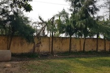 Nam sinh tỉa cây bị điện giật: trường học đâu phải nơi lao động công ích?