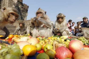 Những lễ hội kỳ quặc nhất thế giới