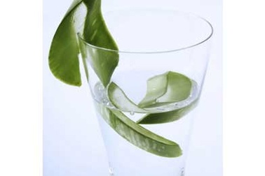 Có nên cho trẻ uống nước lô hội? 