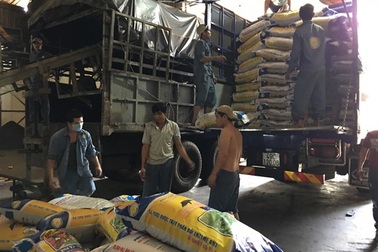 Tiêu chết ở Quảng Sơn là do nhiễm bệnh