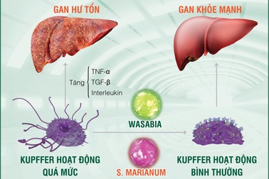 Báo động bệnh gan ngày càng phổ biến