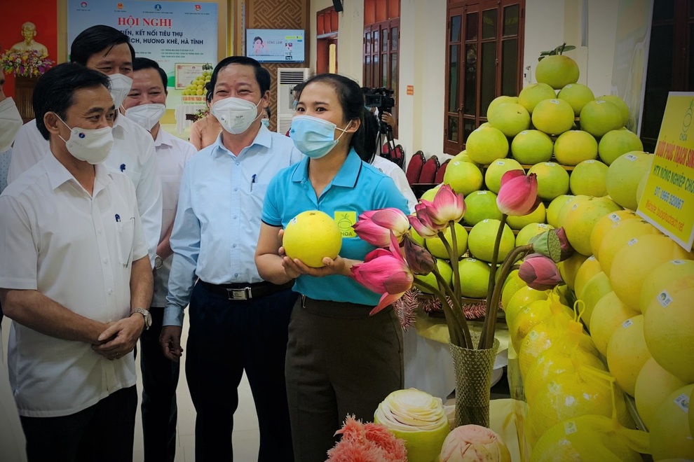 Bưởi đặc sản rớt giá, khó tiêu thụ, người trồng ngồi trên đống lửa - 11 Bưởi đặc sản rớt giá, khó tiêu thụ, người trồng ngồi trên đống lửa - 11