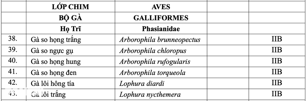 Tình huống pháp lý ly kỳ vụ lĩnh 6 năm tù vì bán gà lôi trắng - 2