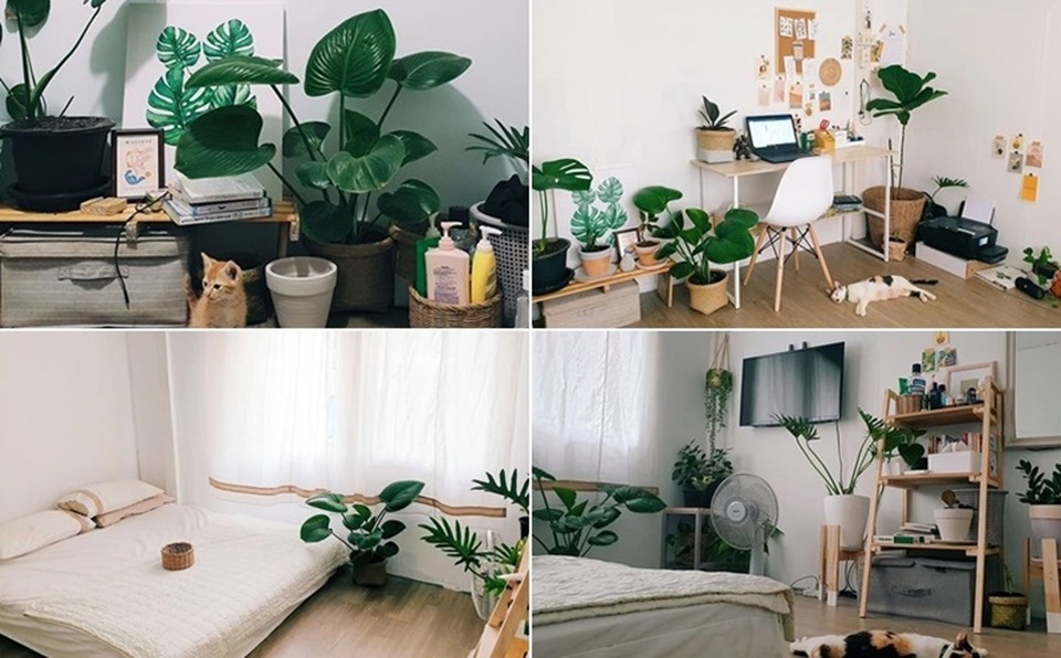 Thầy giáo gây sốt với màn biến hóa nhà đẹp không tưởng chỉ 6 triệu đồng - 1 Thầy giáo gây sốt với màn biến hóa nhà đẹp không tưởng chỉ 6 triệu đồng - 1