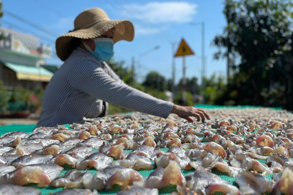 Các làng khô cá chạy đua chuẩn bị hàng Tết - 3 Các làng khô cá chạy đua chuẩn bị hàng Tết - 3