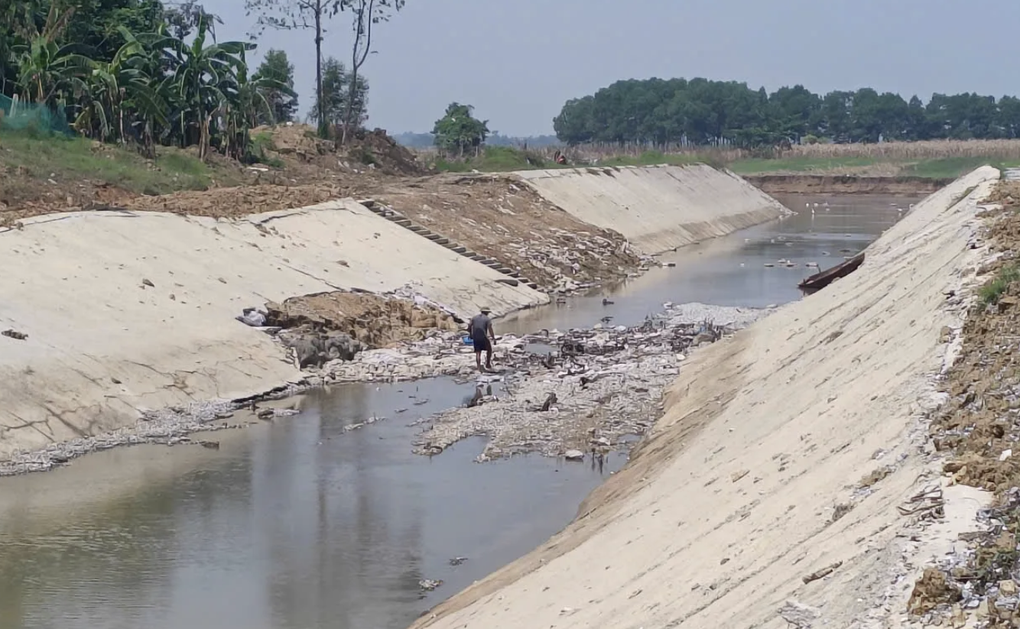 Dự án treo hơn 16 năm ở Phú Thọ - 2