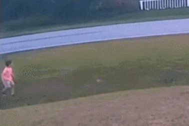 Hình ảnh động vật nổi bật: Chó phản ứng nhanh bảo vệ chủ khỏi nguy hiểm