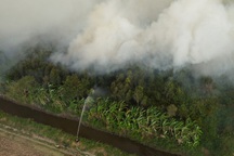 Vì sao 40ha rừng tràm ở Cà Mau cháy lớn?