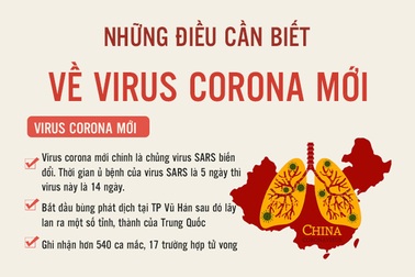 Những điều cần biết về virus Corona mới