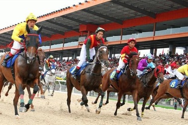 Ì ạch ở dự án trường đua ngựa 10.000 tỷ đồng tại Hà Nội: Vướng mắc gì?