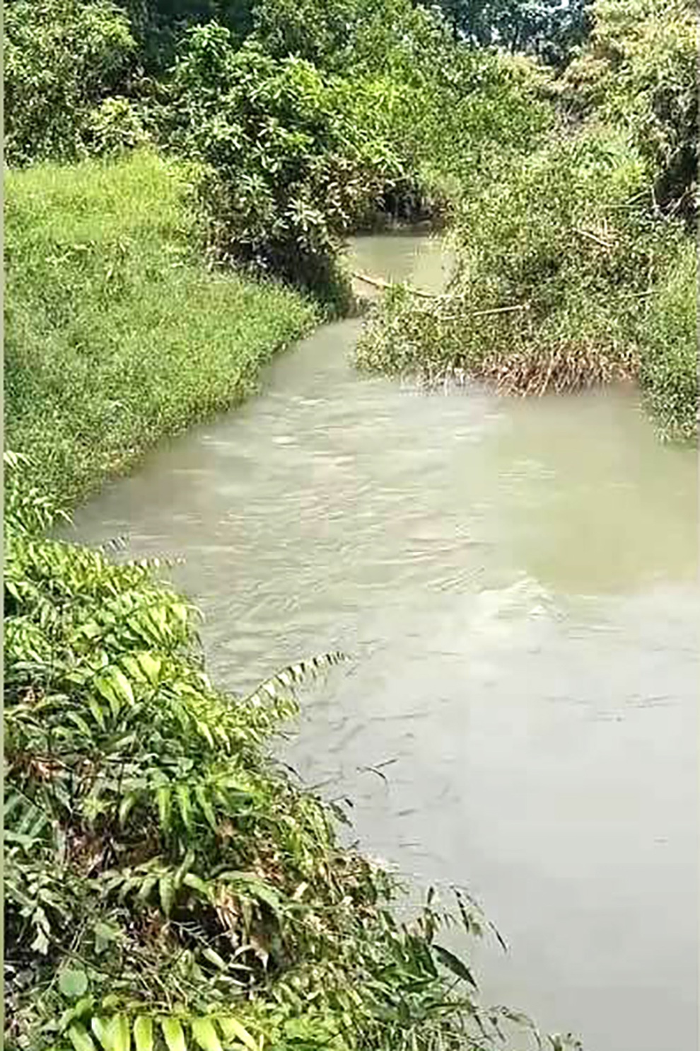 Vụ bé trai 2 tuổi: Nhiều ngày tìm không thấy, đường ra suối rất khó đi - 1 Vụ bé trai 2 tuổi: Nhiều ngày tìm không thấy, đường ra suối rất khó đi - 1