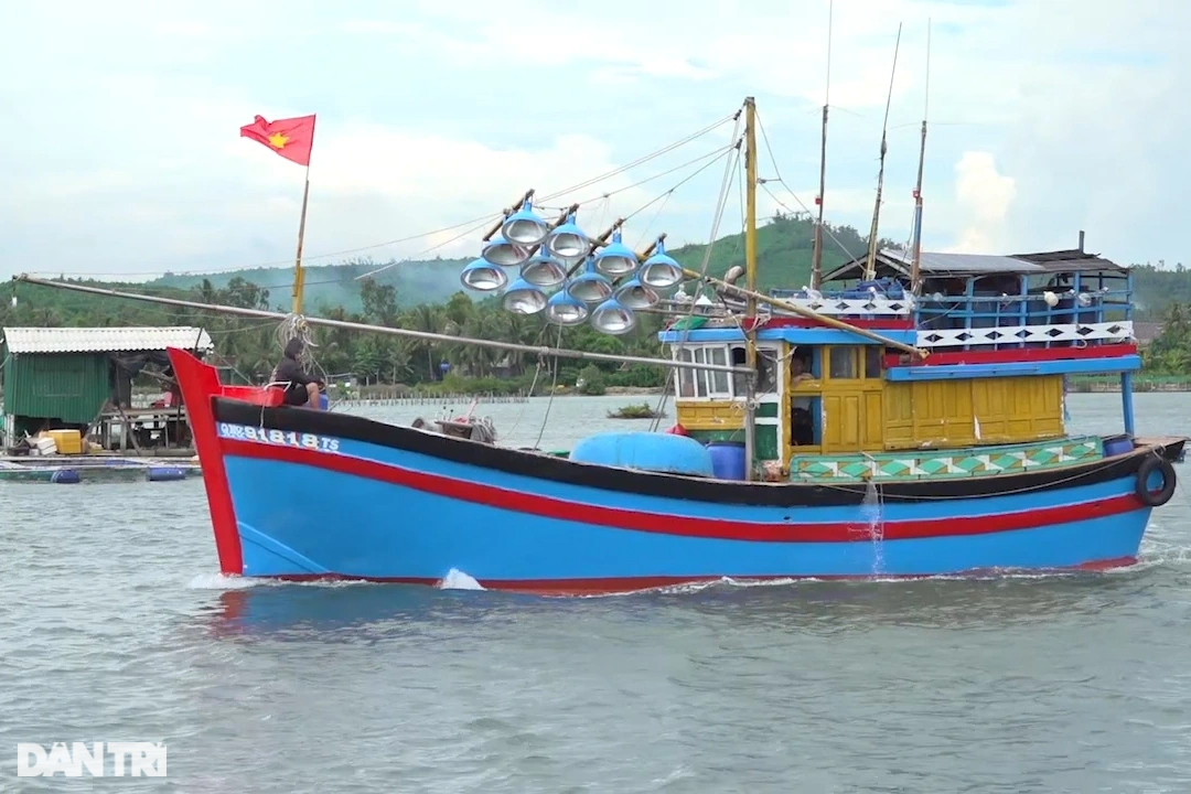Quảng Ngãi đề xuất cấm đánh bắt hải sản có thời hạn - 1