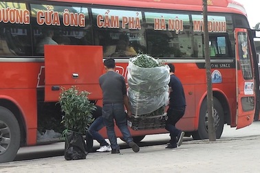 Hà Nội: Nhan nhản xe "rùa bò" bắt khách ven đường