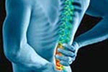 80% người bệnh đau lưng là nhân viên văn phòng