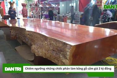 Chiêm ngưỡng những chiếc phản làm bằng gỗ cẩm giá 2 tỷ đồng