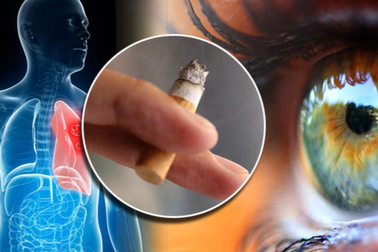 Ước tính cứ 2 người hút thuốc lá sẽ có 1 người chết sớm