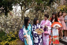 Lần đầu tiên Việt Nam sẽ có Đại sứ thiện chí Hoa Anh Đào