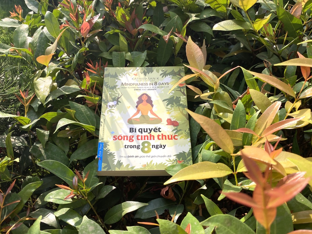 Bí quyết sống tỉnh thức trong 8 ngày - Sách hay về thiền chánh niệm - 4 Bí quyết sống tỉnh thức trong 8 ngày - Sách hay về thiền chánh niệm - 4