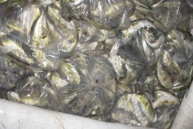 Xử lý hơn 700 cơ sở vi phạm vệ sinh an toàn thực phẩm 