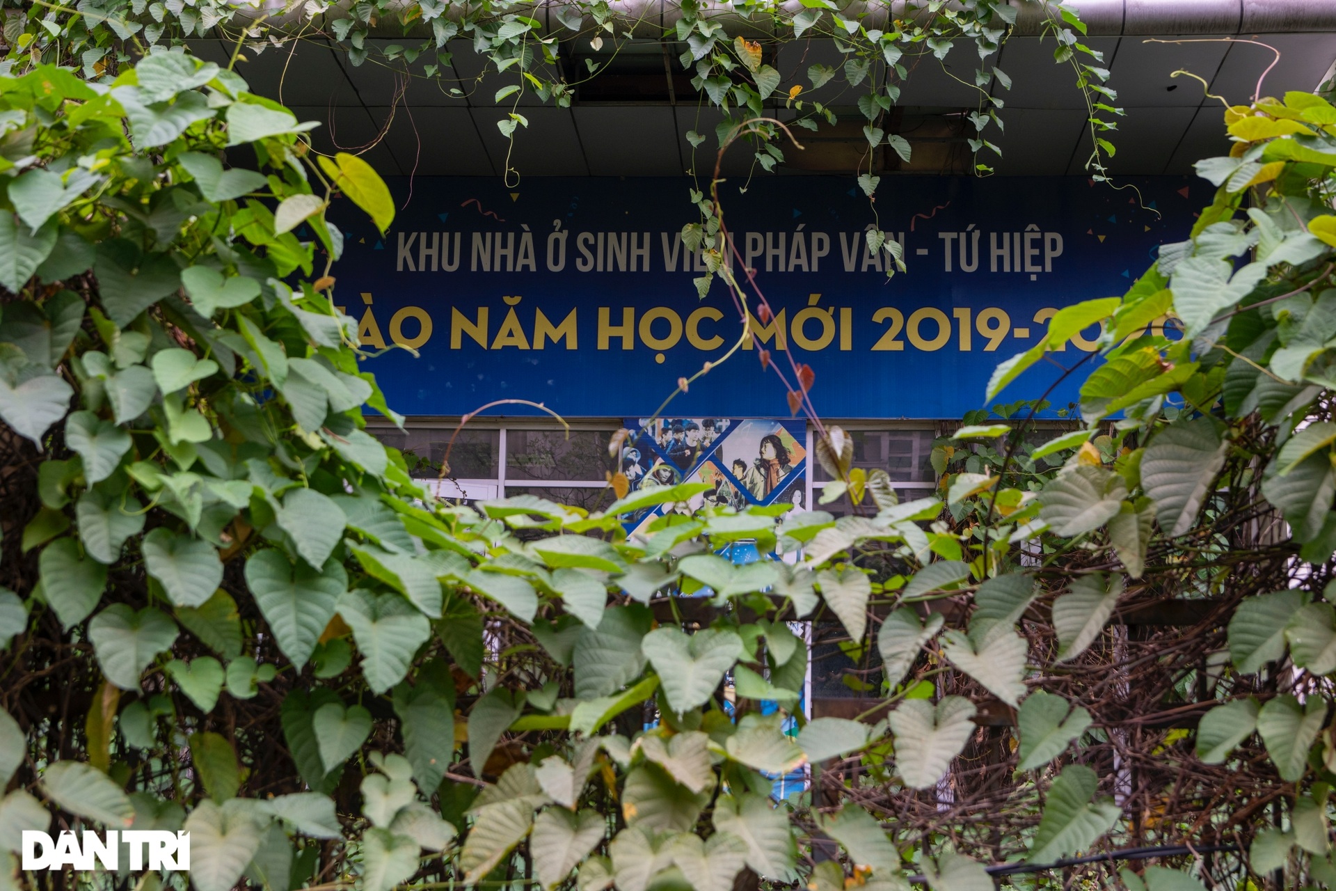 Ký túc xá nghìn tỷ bỏ hoang nhiều năm sắp hồi sinh thành nhà ở xã hội - 9 Ký túc xá nghìn tỷ bỏ hoang nhiều năm sắp hồi sinh thành nhà ở xã hội - 9