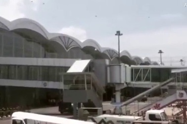 Nghìn con ong bất ngờ tấn công, máy bay chở khách phải hoãn 90 phút